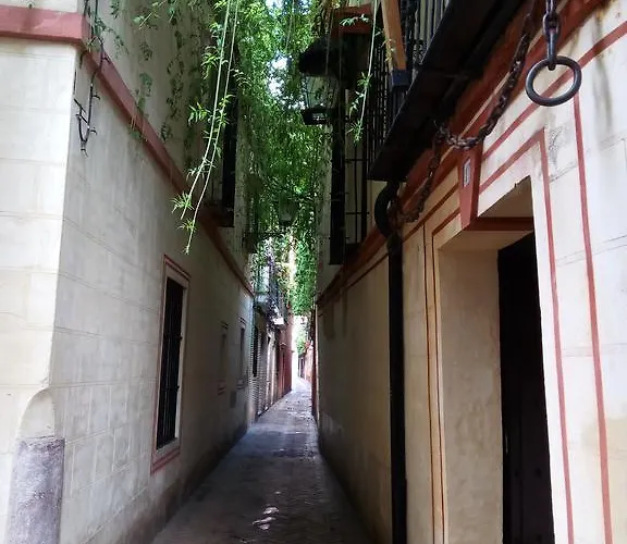 San Clemente 아파트 *